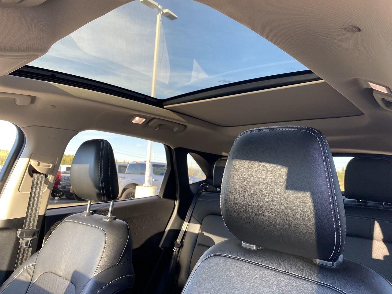 2020 Ford Escape Titanium Hybrid Photo