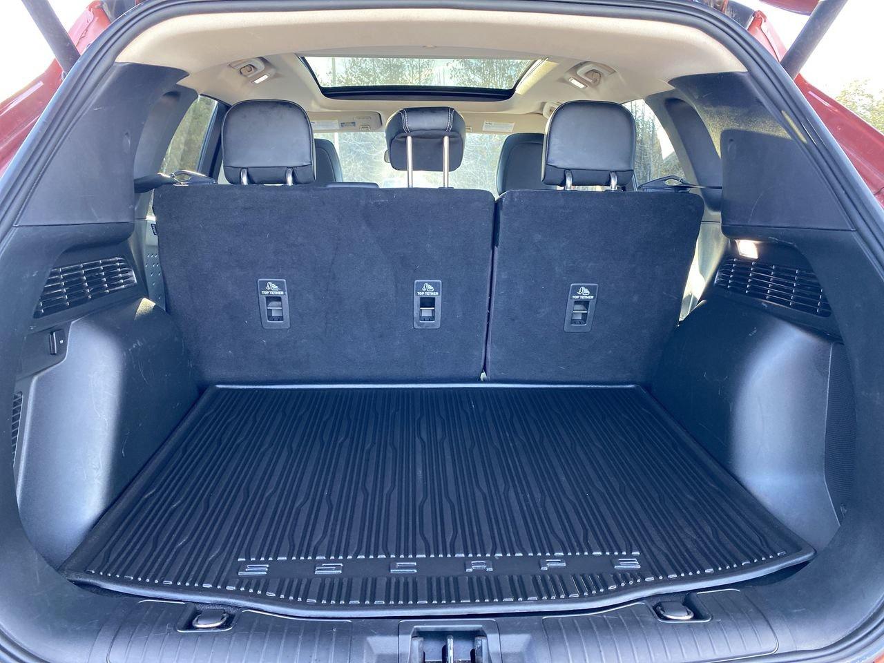 2020 Ford Escape Titanium Hybrid Photo