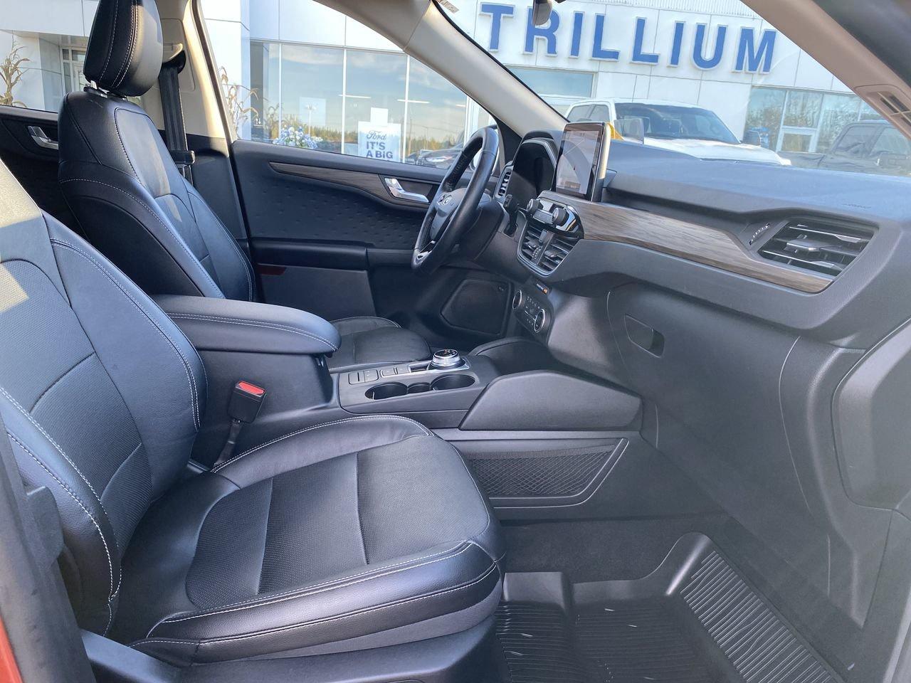 2020 Ford Escape Titanium Hybrid Photo