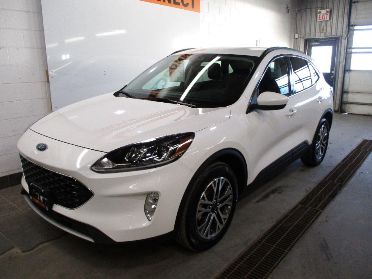 2021 Ford Escape SEL AWD Photo