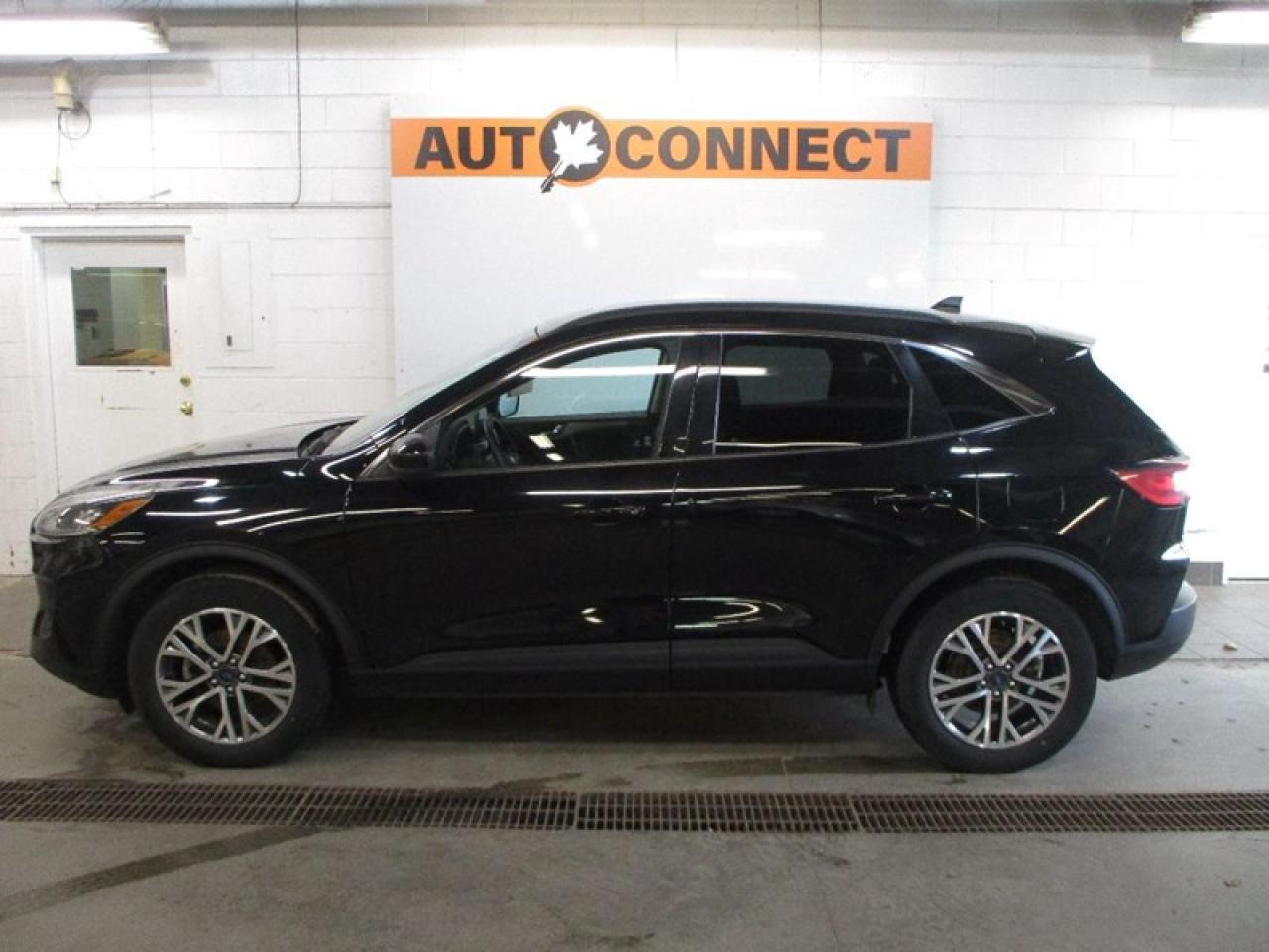 2021 Ford Escape SEL Photo