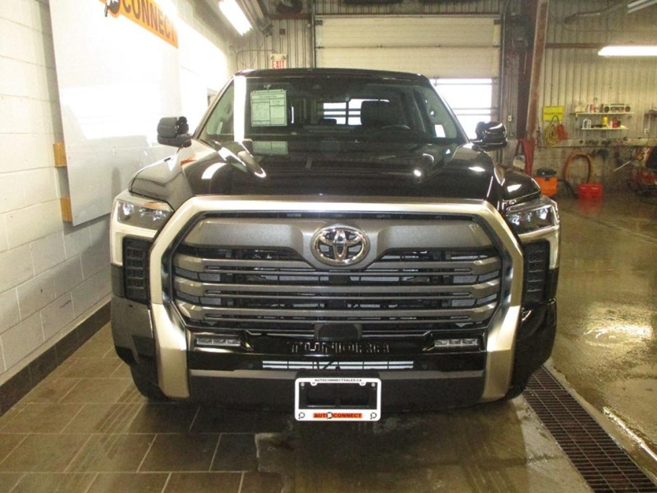 2022 Toyota Tundra Limited Double Cab Photo