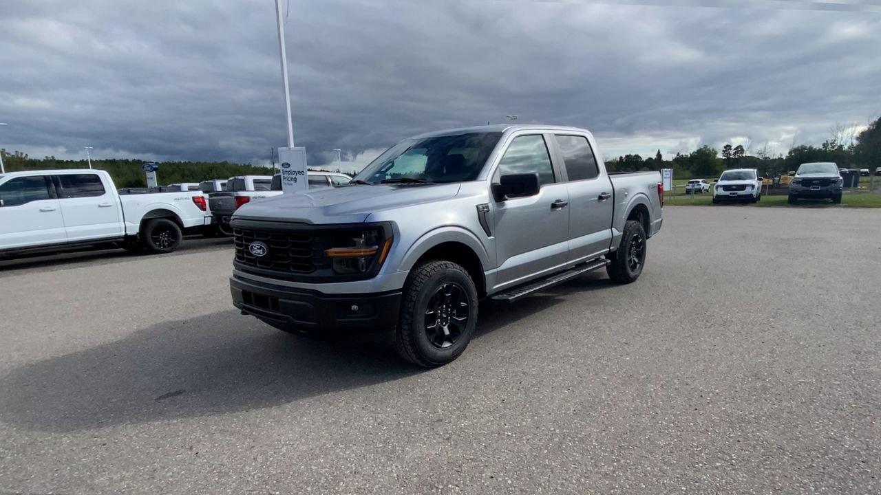 2025 Ford F-150 STX Photo