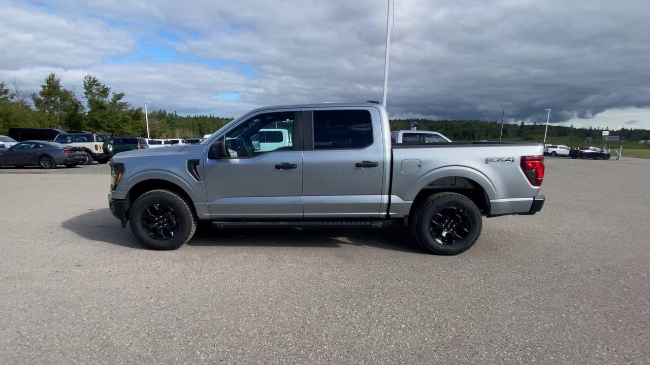2025 Ford F-150 STX Photo