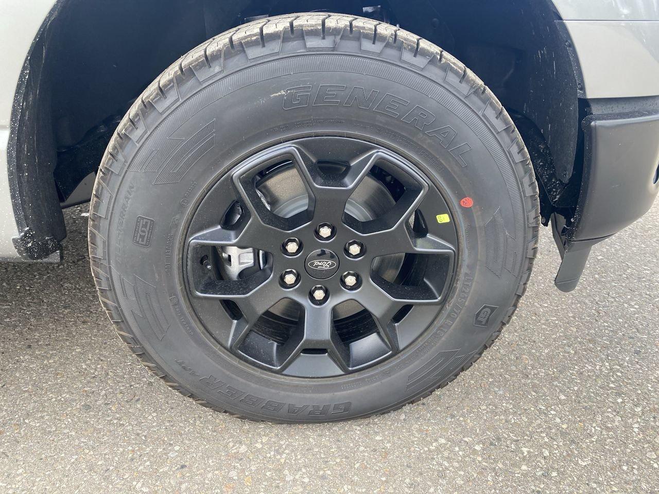 2025 Ford F-150 STX Photo