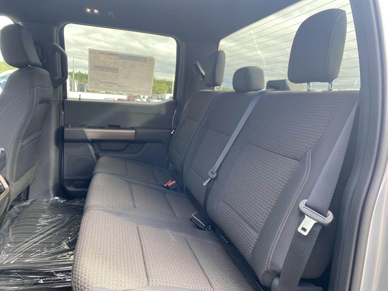 2025 Ford F-150 STX Photo