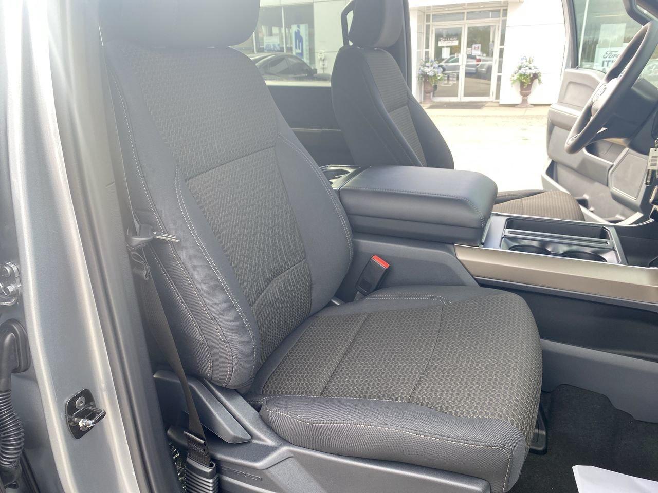 2025 Ford F-150 STX Photo