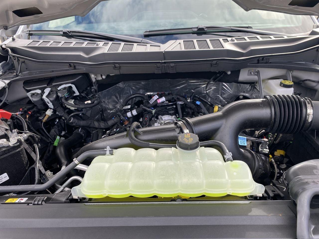 2025 Ford F-150 STX Photo