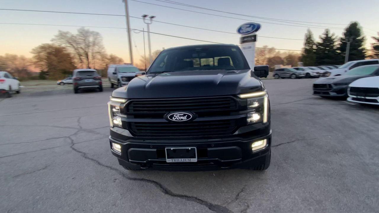 2025 Ford F-150 HYBRID PLATINUM Photo