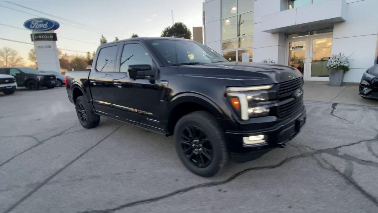 2025 Ford F-150 HYBRID PLATINUM Photo