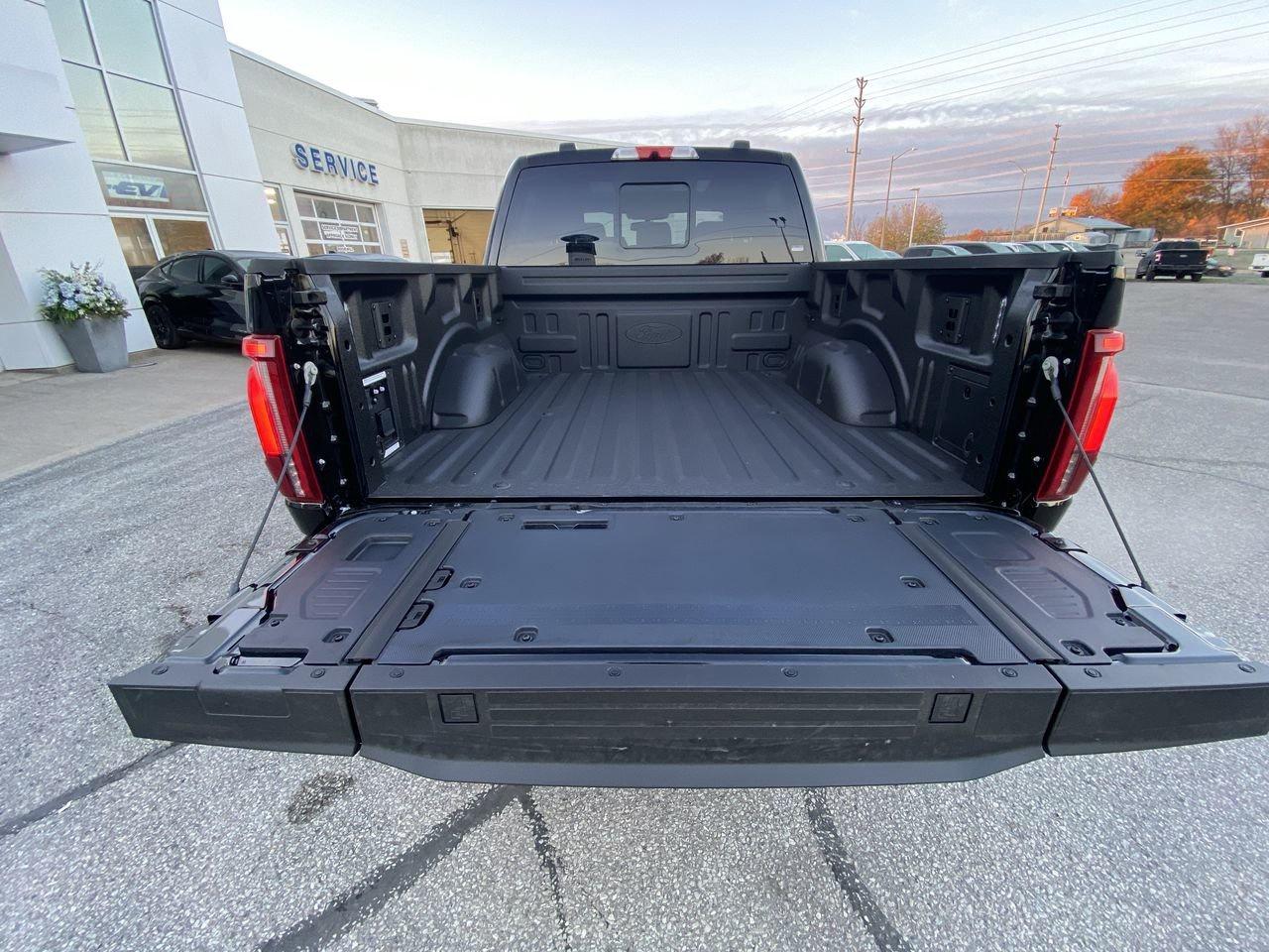 2025 Ford F-150 HYBRID PLATINUM Photo