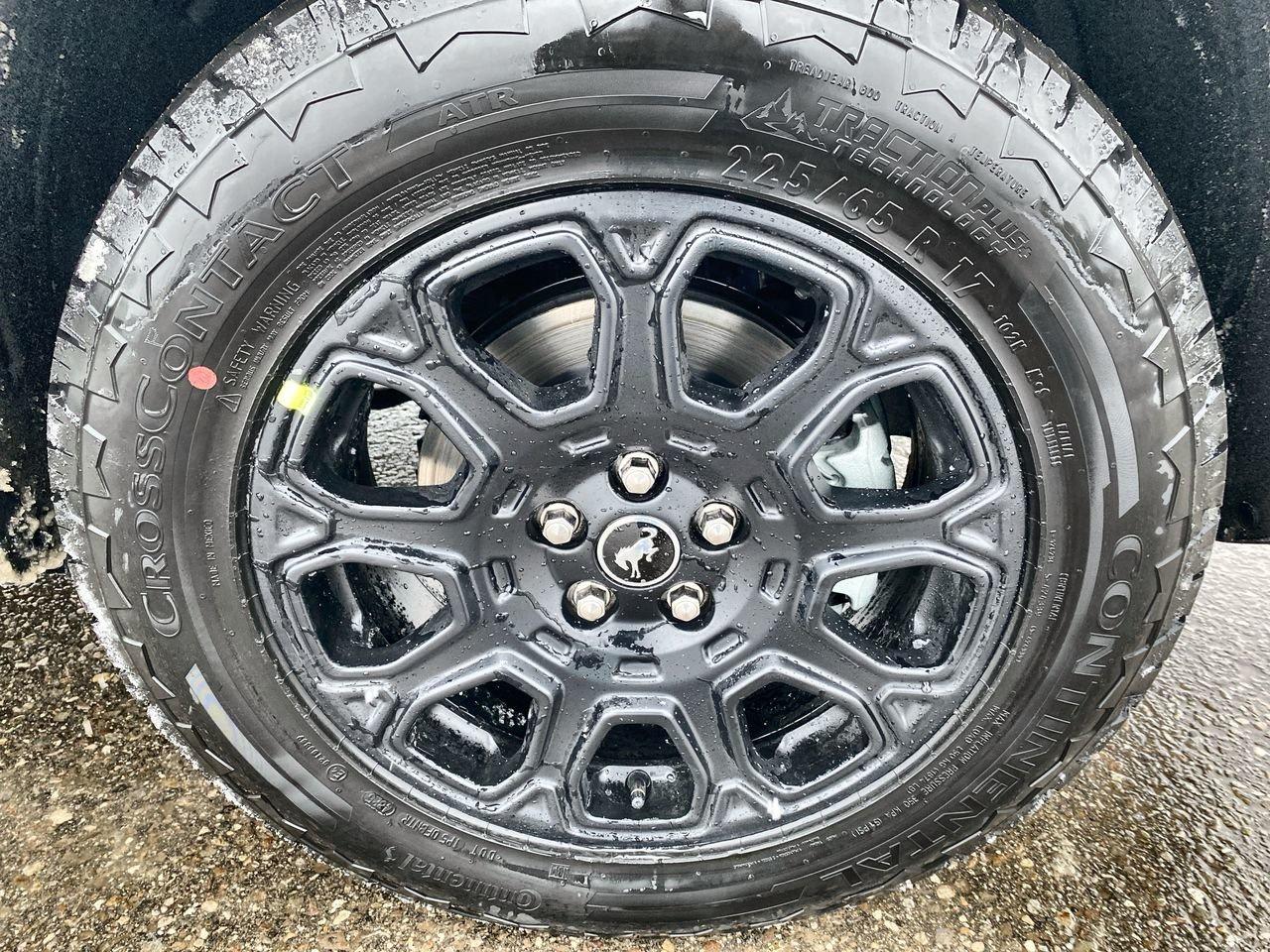 2026 Ford Bronco Sport BADLANDS Photo