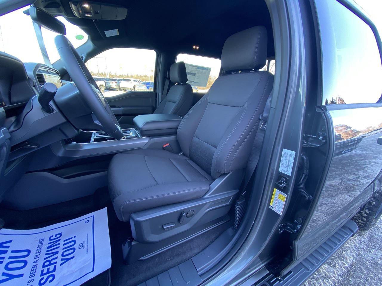 2026 Ford F-150 XLT Photo