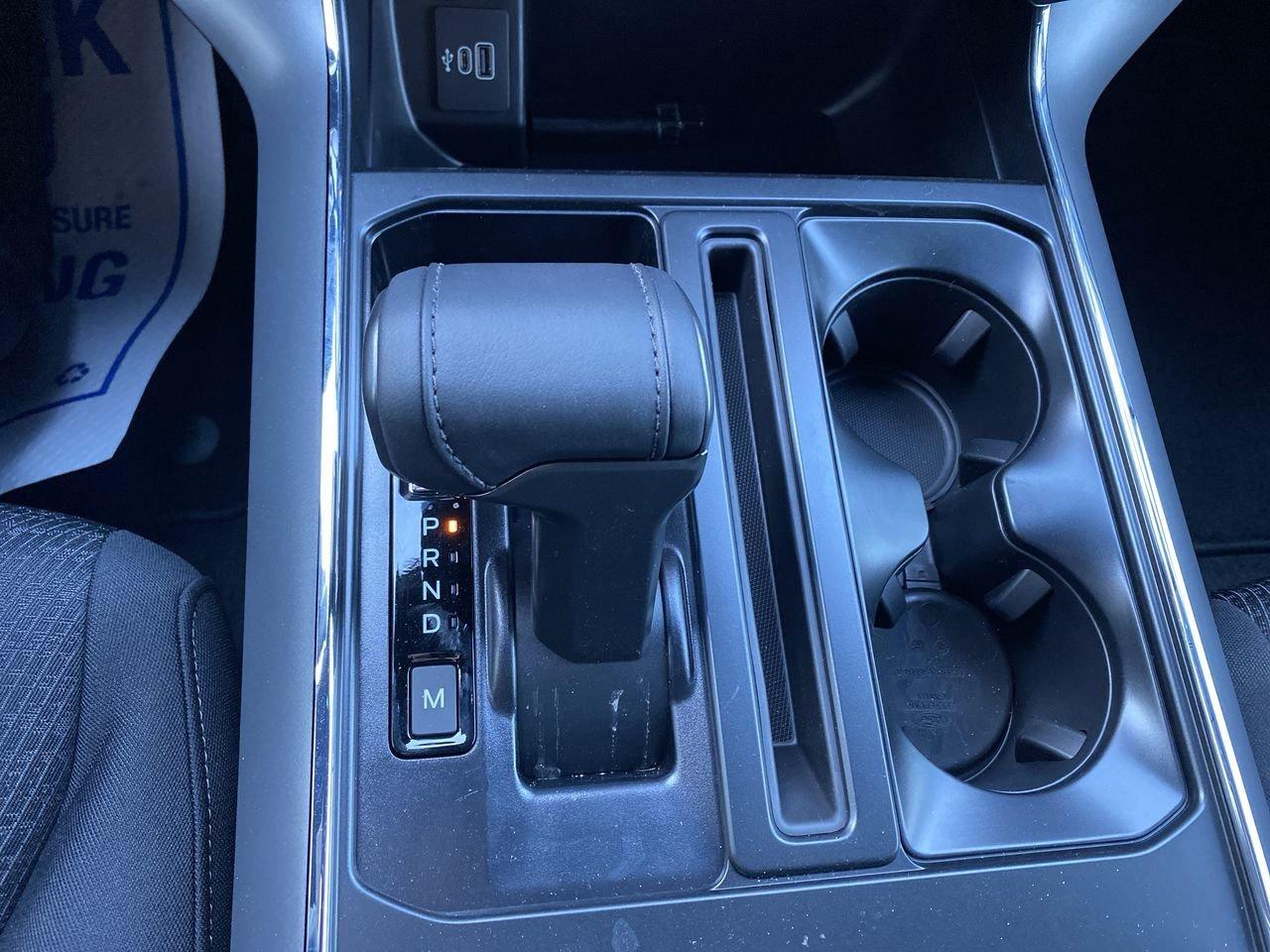 2026 Ford F-150 XLT Photo