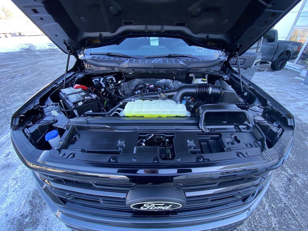 2026 Ford F-150 XLT Photo