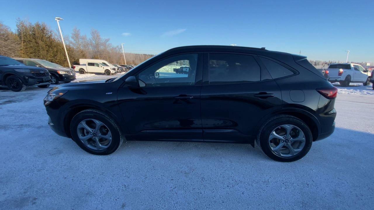 2024 Ford Escape ST-Line Photo
