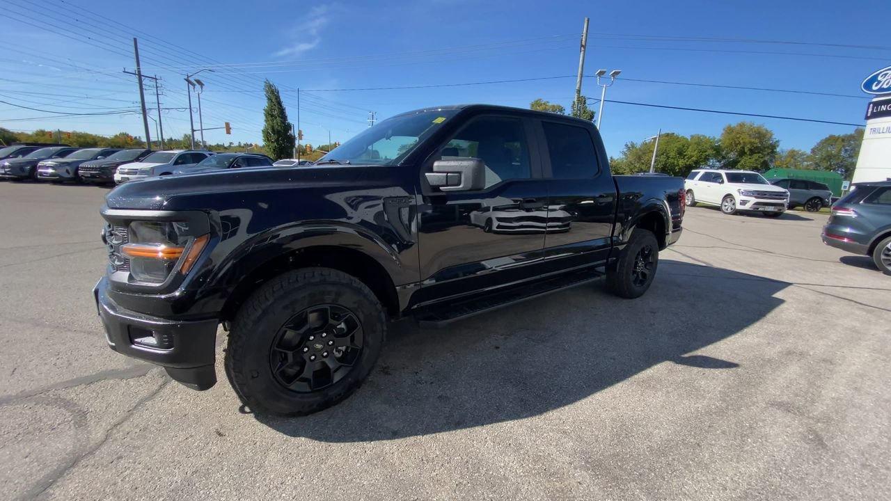 2025 Ford F-150 STX Photo