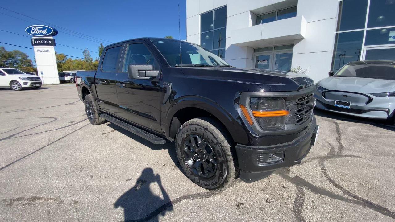 2025 Ford F-150 STX Photo