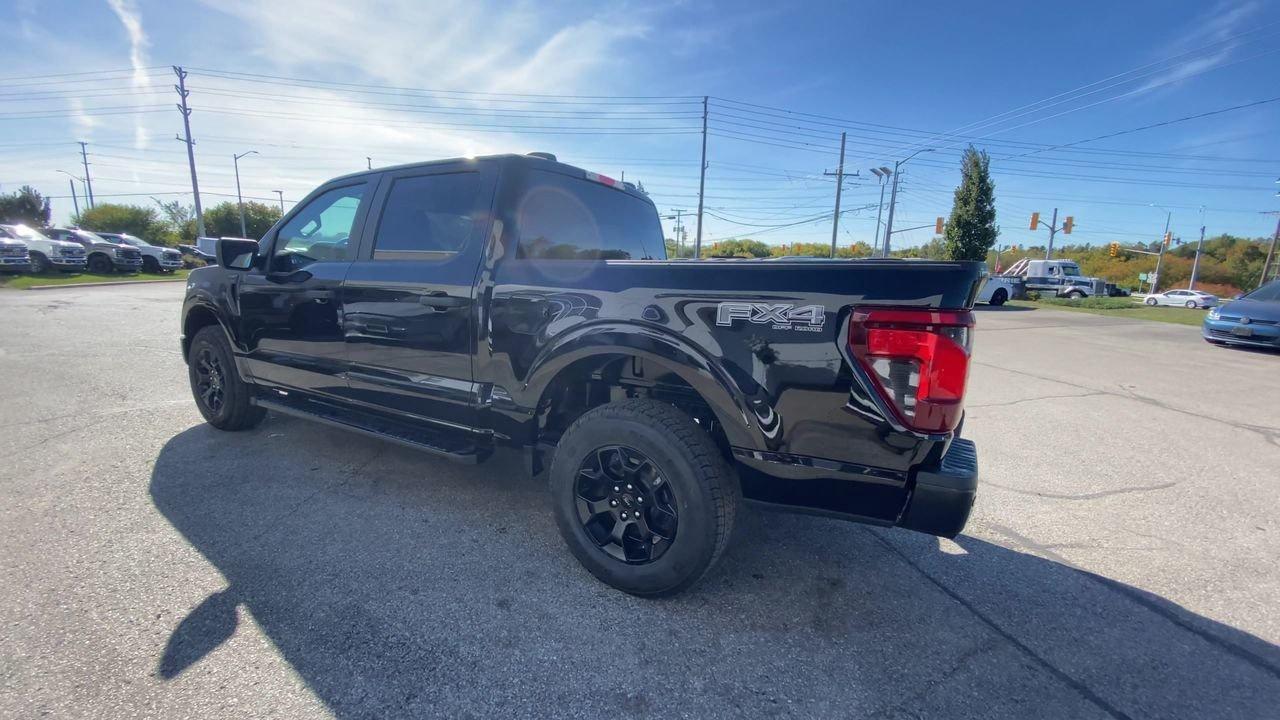 2025 Ford F-150 STX Photo