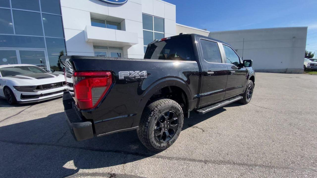 2025 Ford F-150 STX Photo