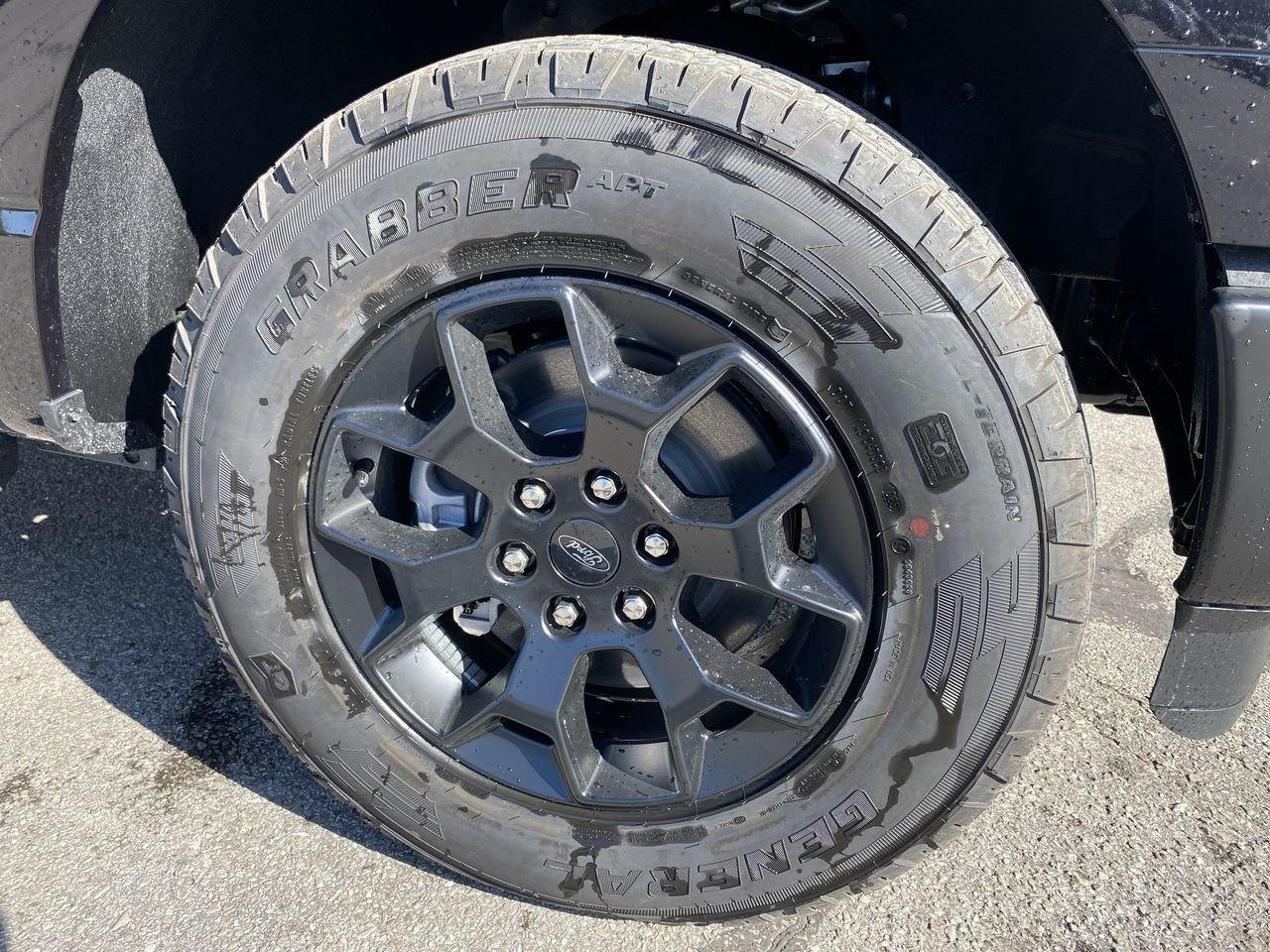 2025 Ford F-150 STX Photo