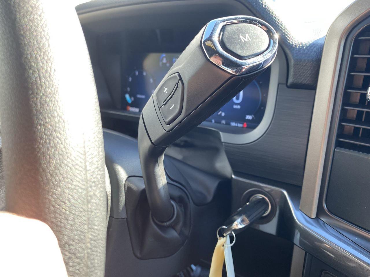 2025 Ford F-150 STX Photo