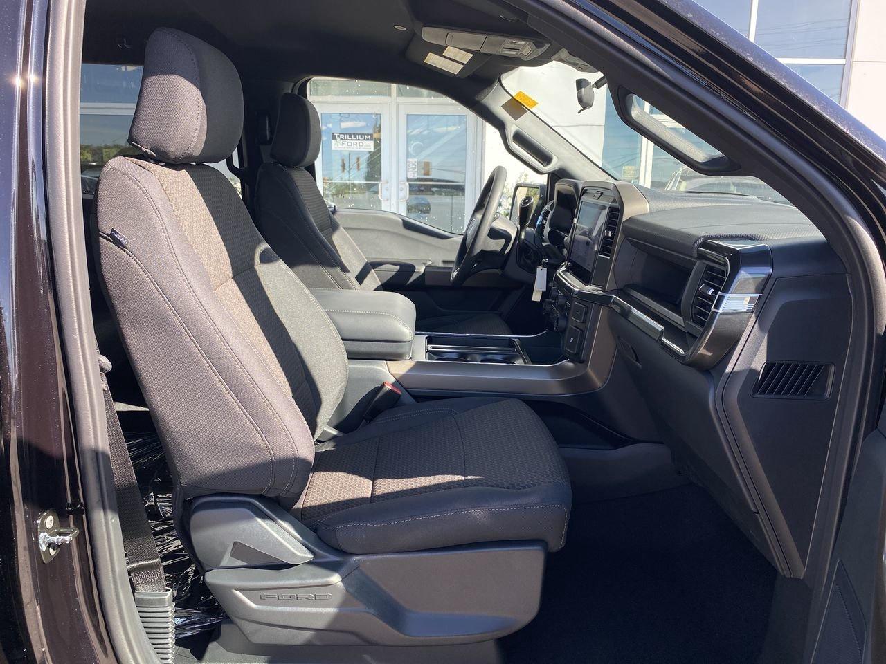 2025 Ford F-150 STX Photo