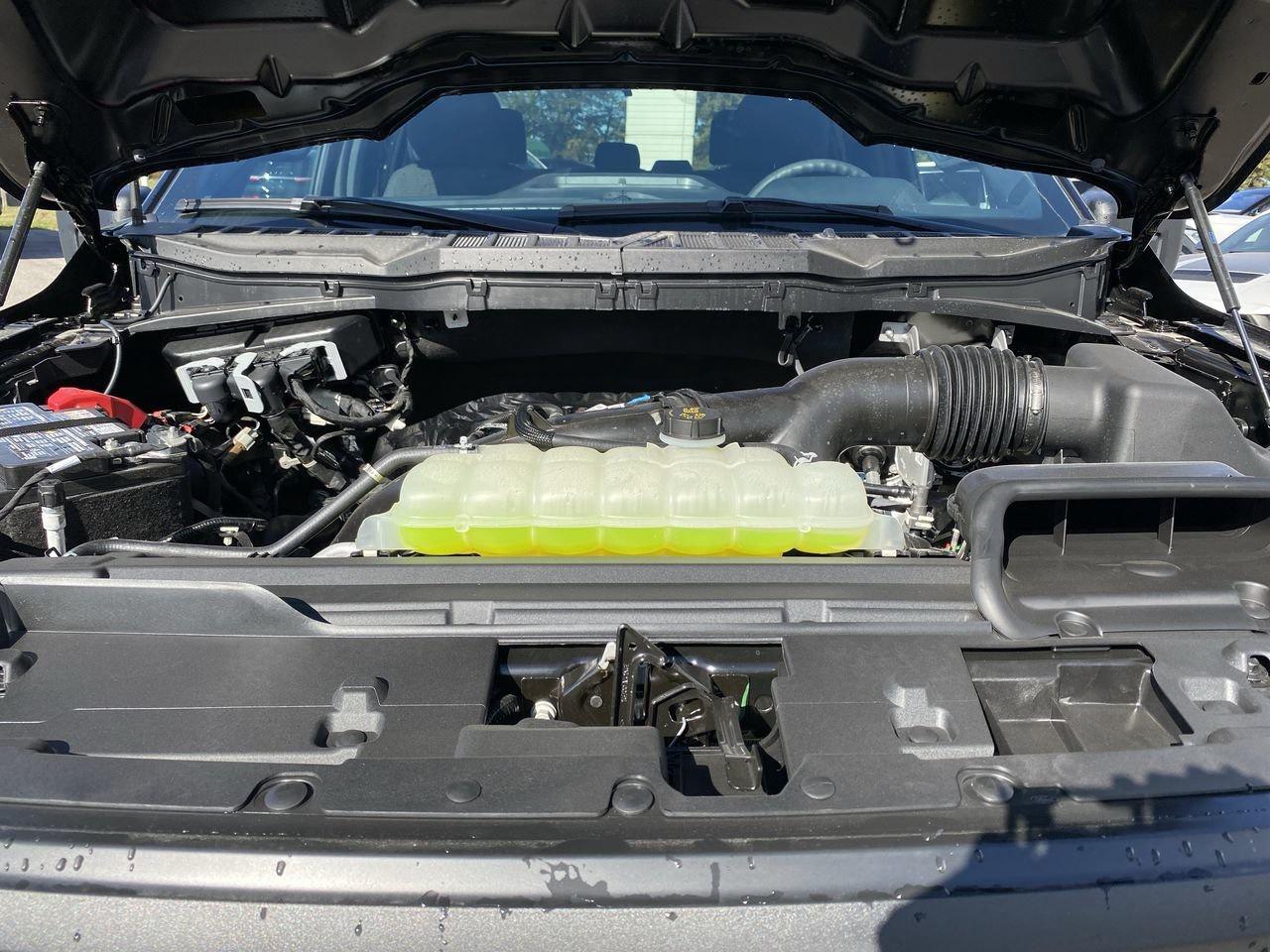 2025 Ford F-150 STX Photo