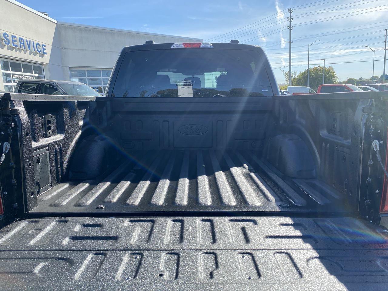 2025 Ford F-150 STX Photo