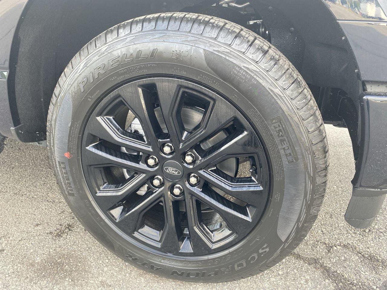 2025 Ford F-150 XLT Photo