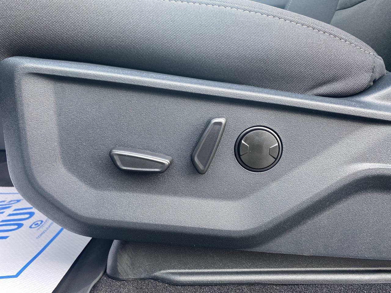 2025 Ford F-150 XLT Photo