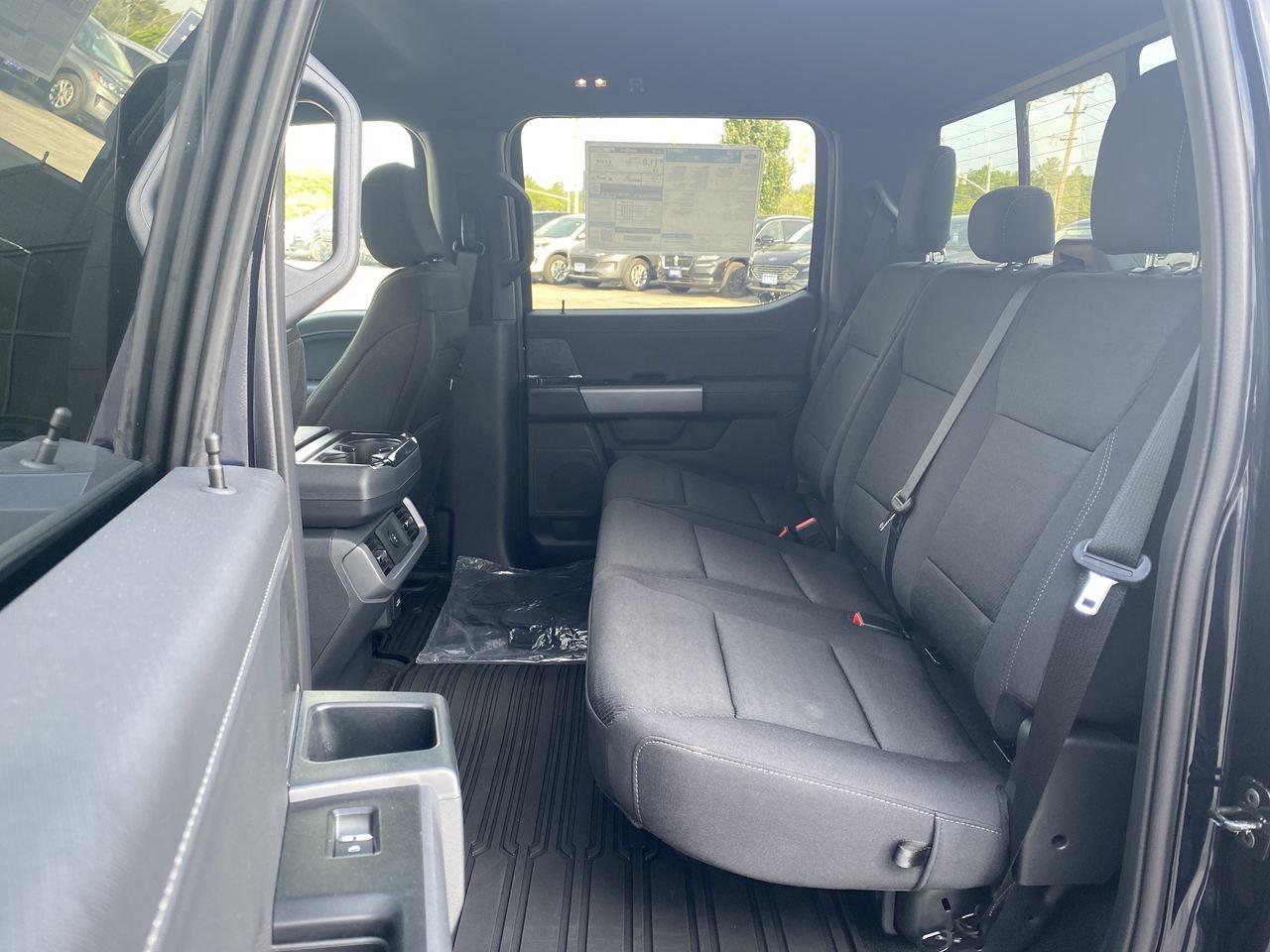 2025 Ford F-150 XLT Photo