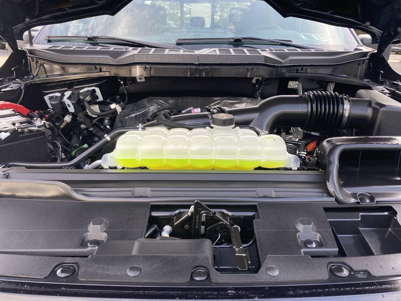 2025 Ford F-150 XLT Photo