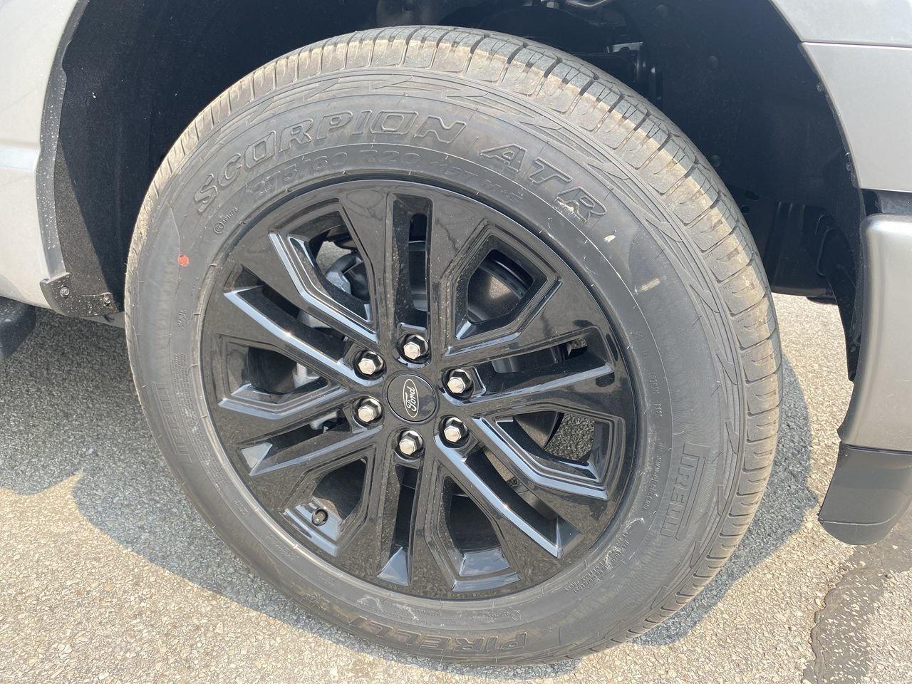 2025 Ford F-150 XLT Photo