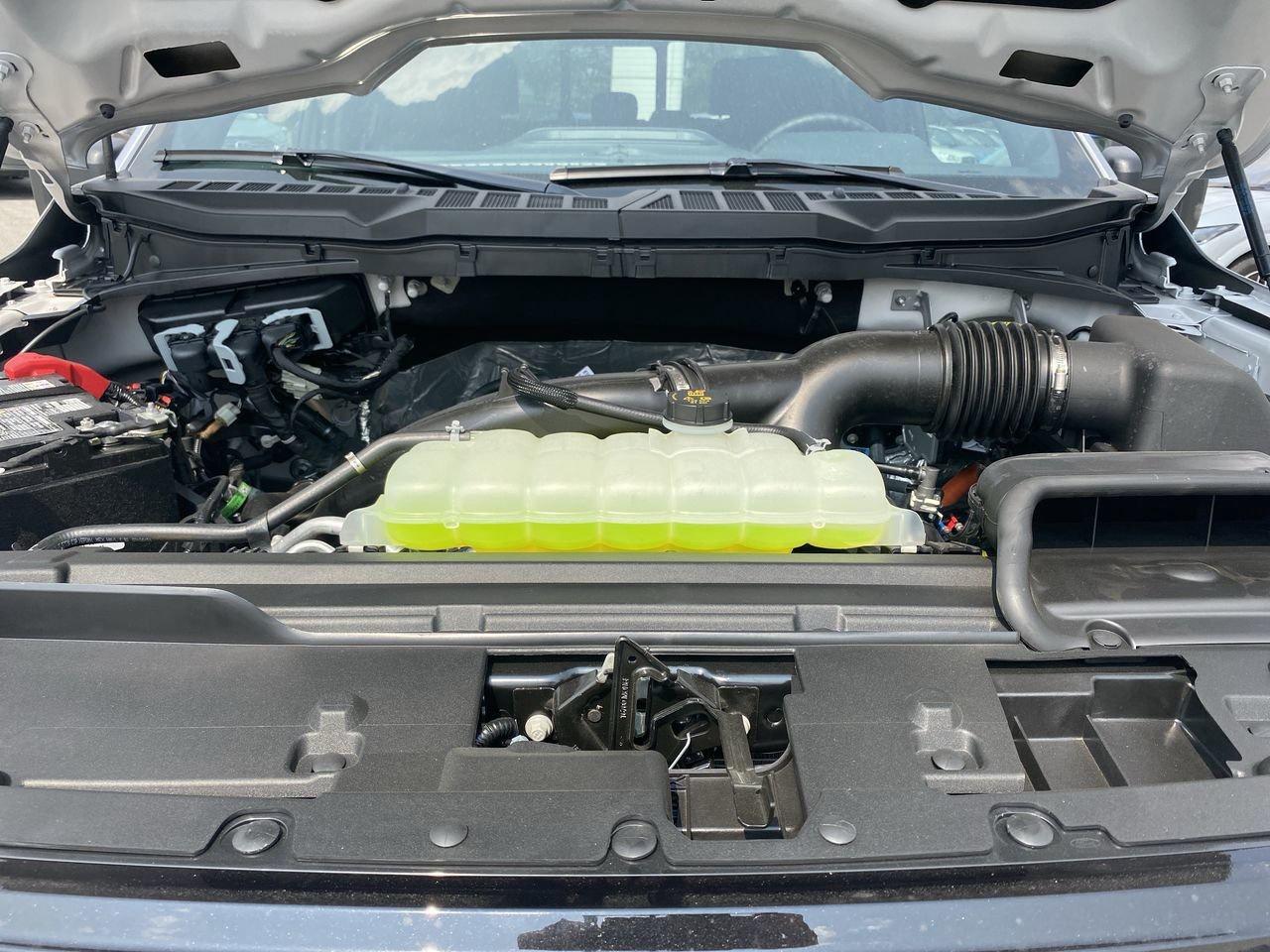 2025 Ford F-150 XLT Photo