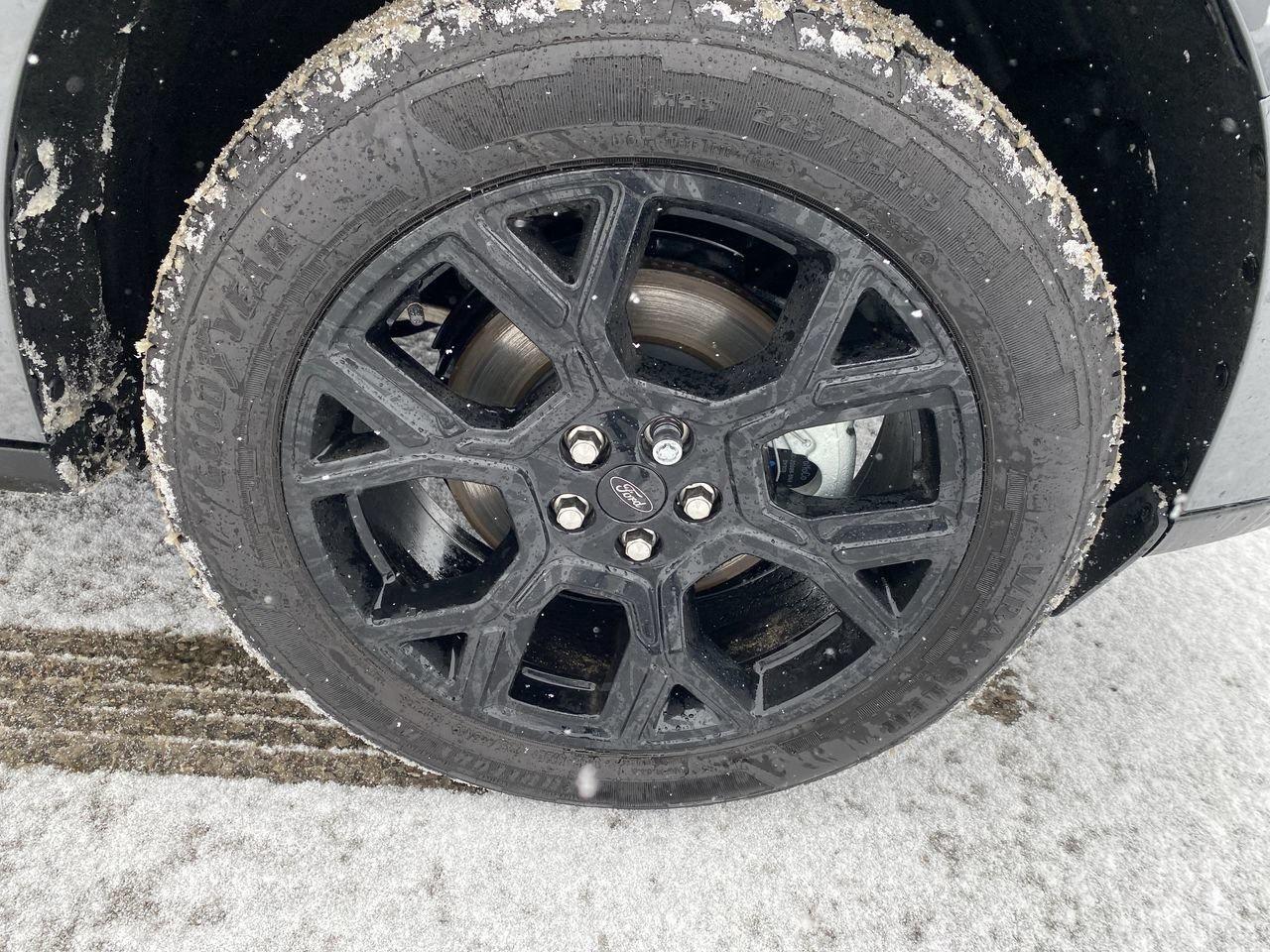 2026 Ford Maverick XLT Photo