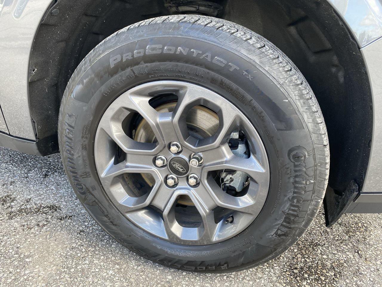 2023 Ford Maverick  Photo