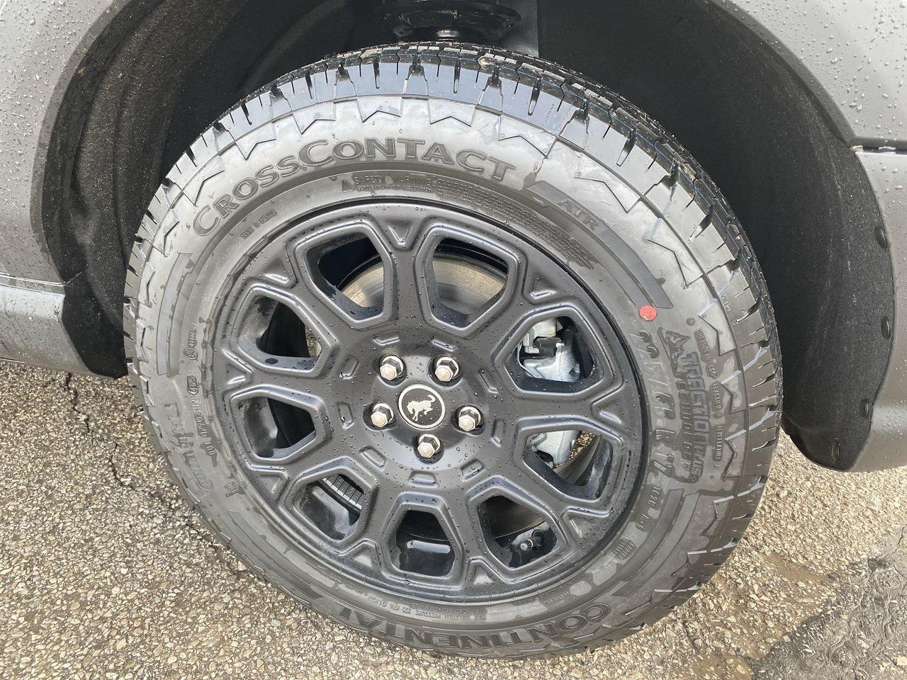 2025 Ford Bronco Sport BADLANDS Photo