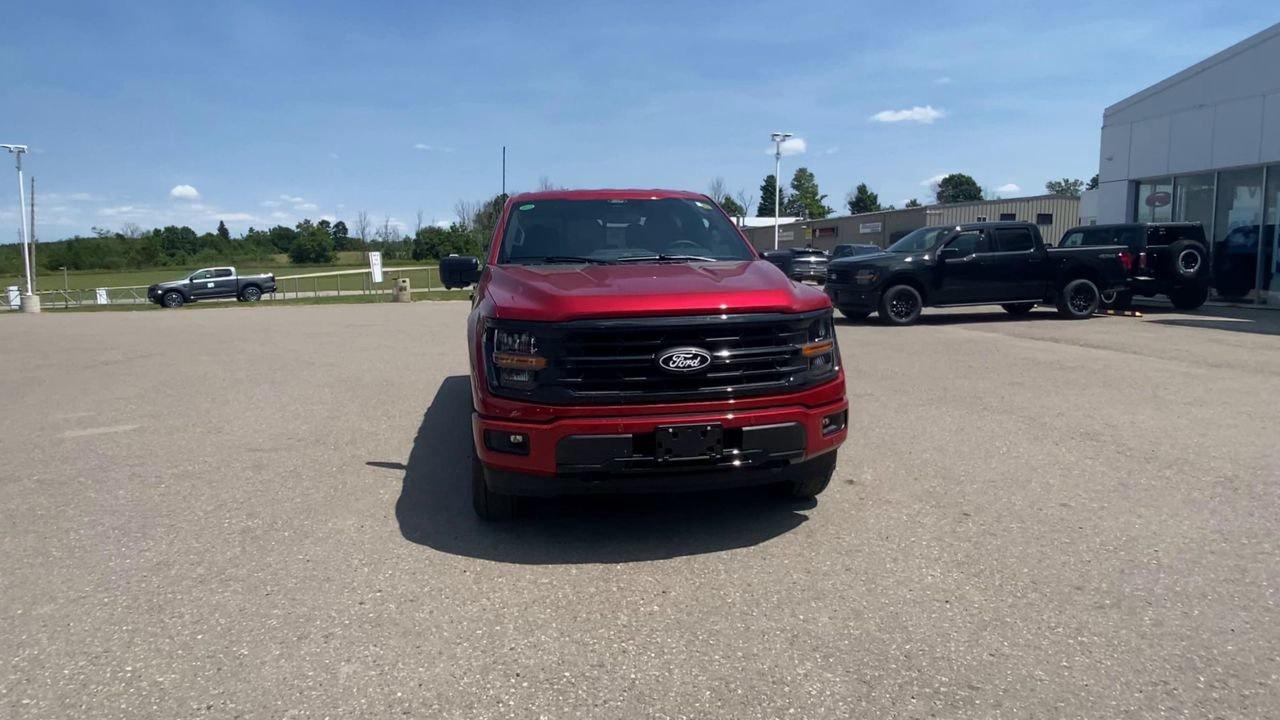 2025 Ford F-150 XLT Photo