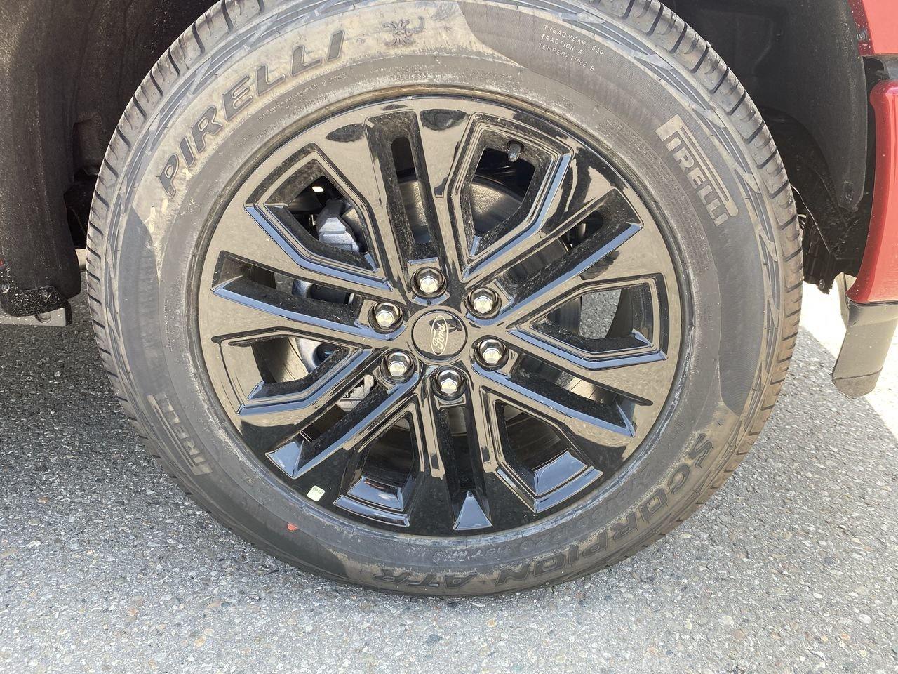 2025 Ford F-150 XLT Photo