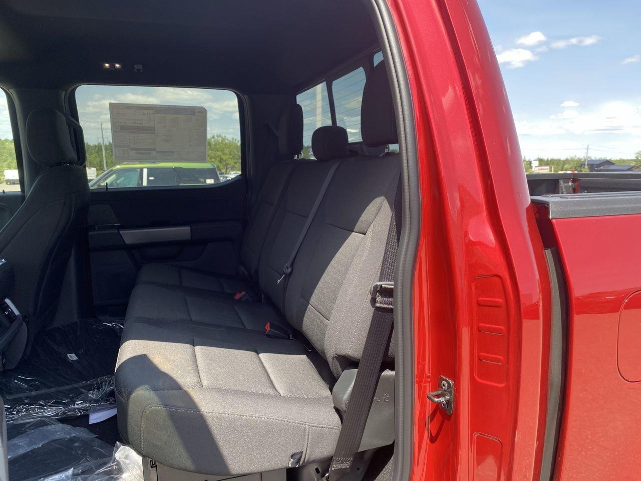 2025 Ford F-150 XLT Photo