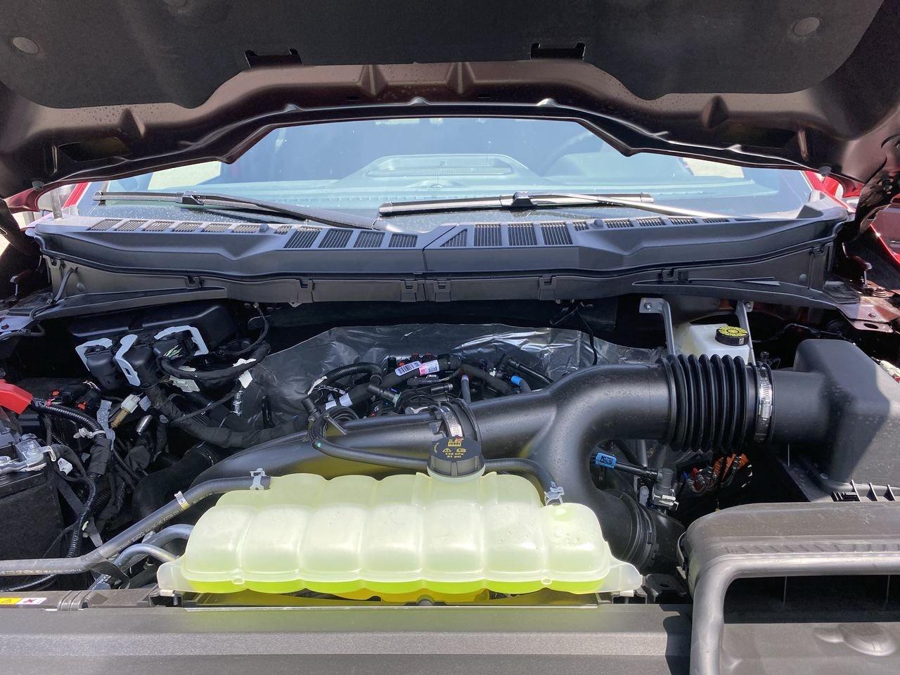 2025 Ford F-150 XLT Photo