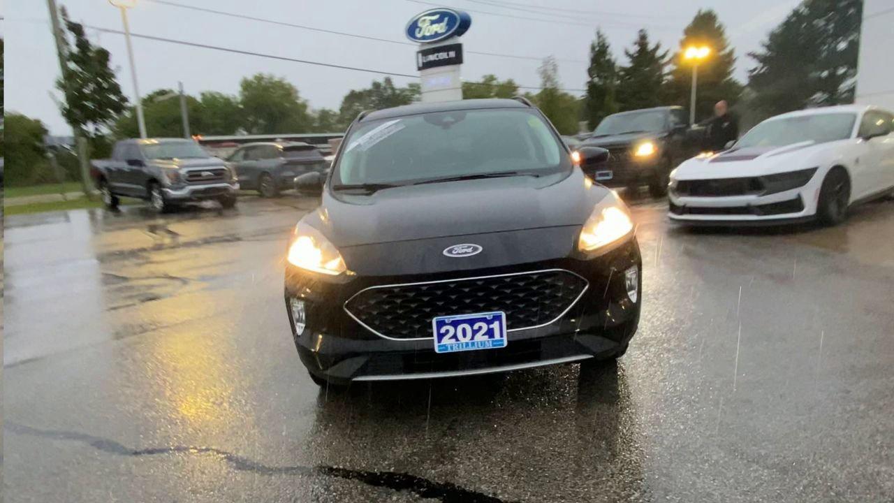 2021 Ford Escape SEL Photo