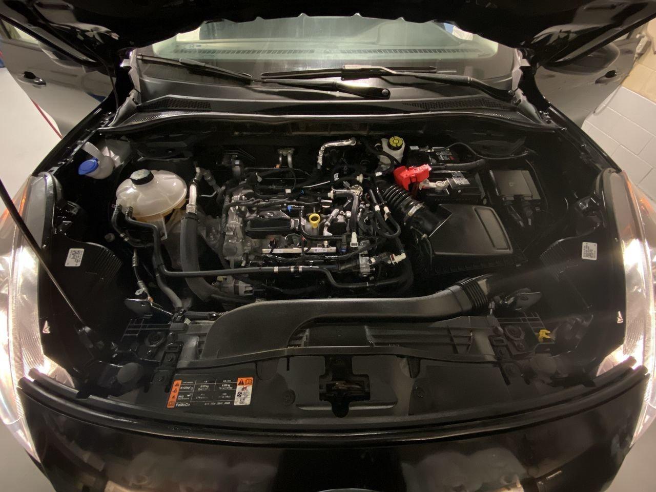 2021 Ford Escape SEL Photo