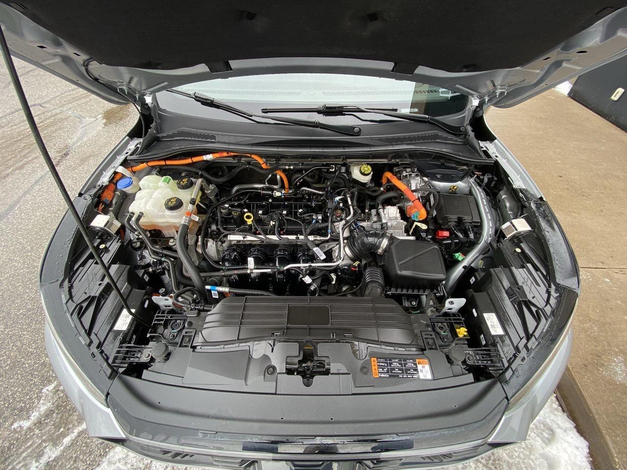 2023 Ford Escape ST-Line Elite Photo