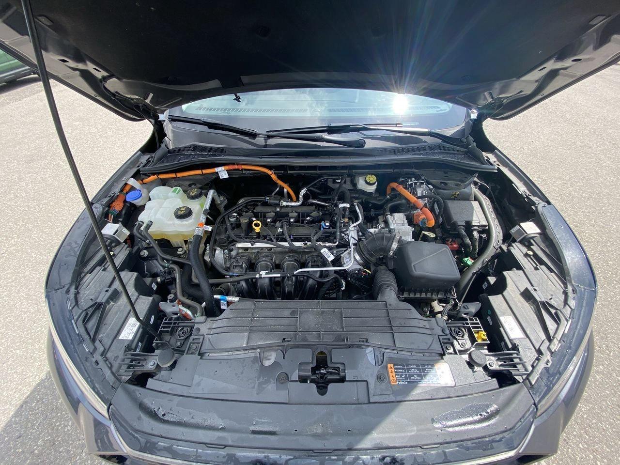 2024 Ford Escape Platinum Photo