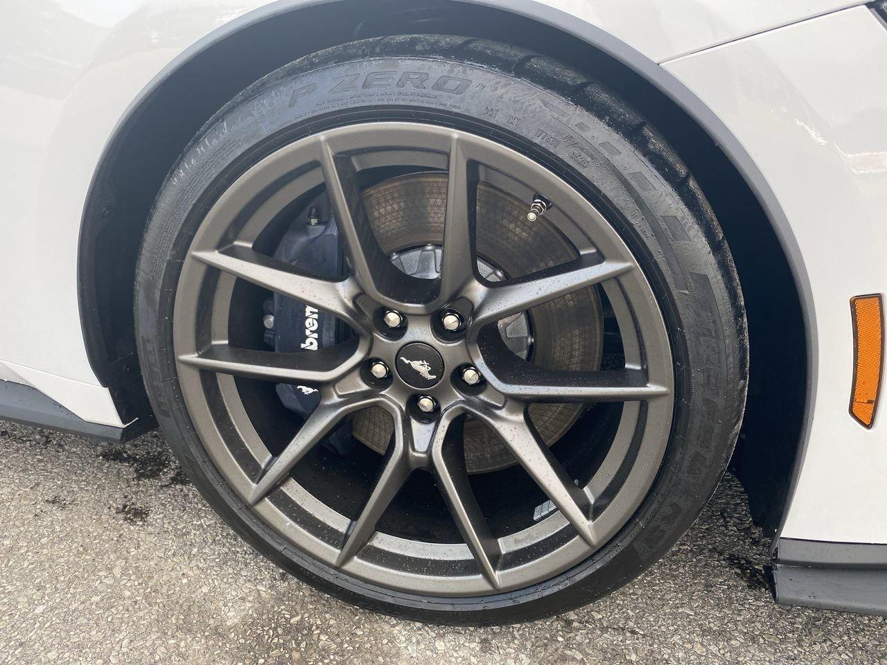 2025 Ford Mustang Fastback DARK HORSE PREMIUM Photo