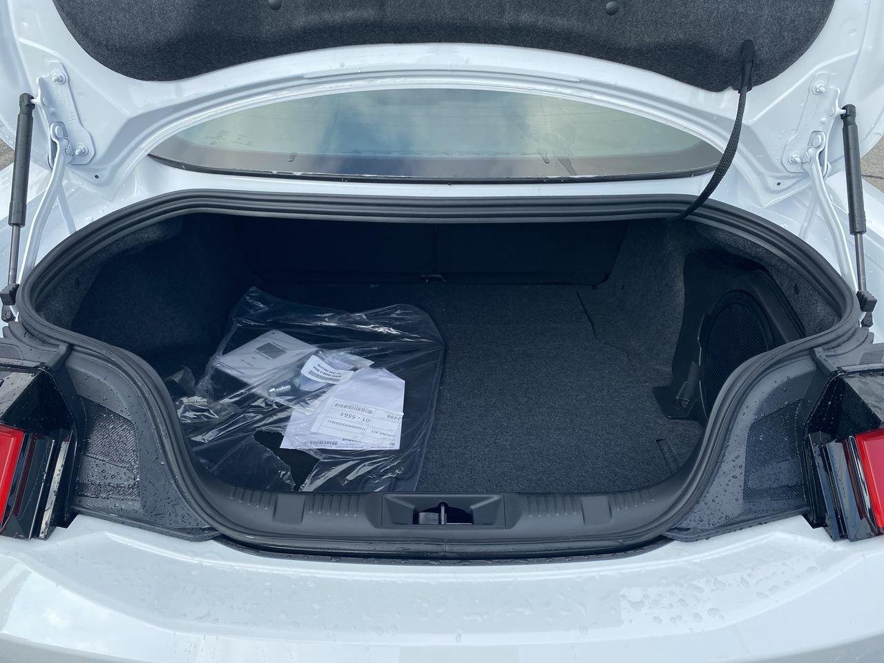 2025 Ford Mustang Fastback DARK HORSE PREMIUM Photo