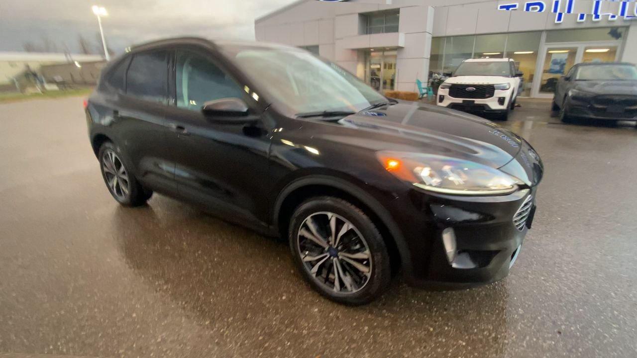 2022 Ford Escape SEL Photo