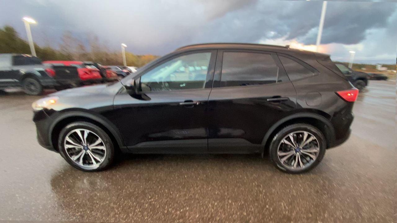 2022 Ford Escape SEL Photo